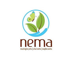 nema_2
